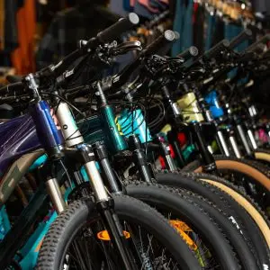 Dean Forest Cycles-035